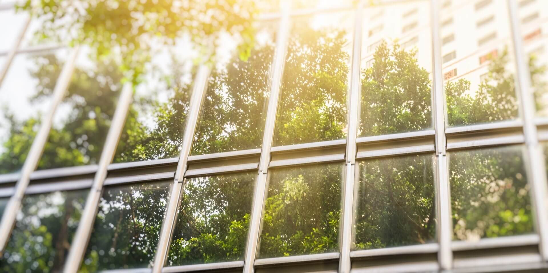 ESG Leadership in a Post-COVID World