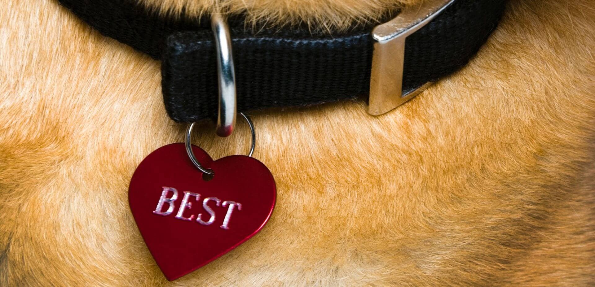 Weber Shandwick Named to Advertising Age’s Best Places to Work